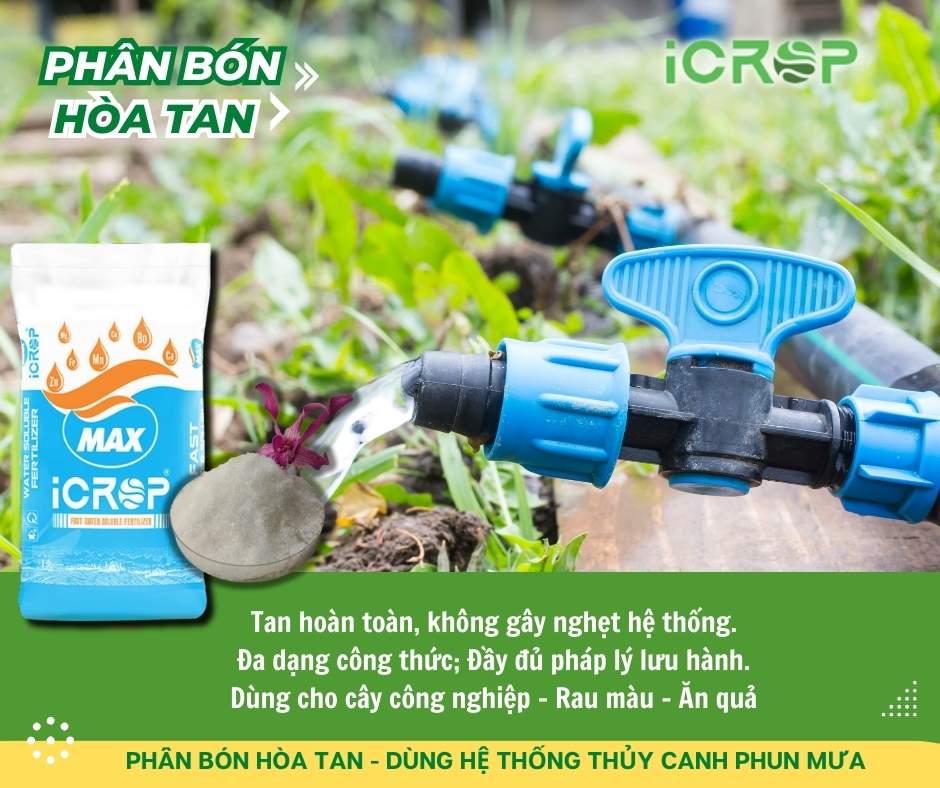 Phân bón hòa tan - Dạng bột Phân bón hòa tan - Dạng bột
