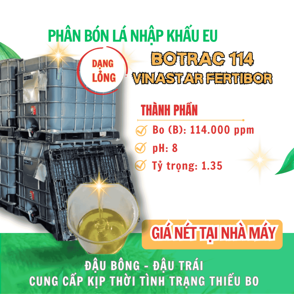 BOTRAC 114 – Giải pháp vi lượng Bo siêu cao cấp, nhập khẩu từ Thổ Nhĩ Kỳ BOTRAC 114 – Giải pháp vi lượng Bo siêu cao cấp, nhập khẩu từ Thổ Nhĩ Kỳ