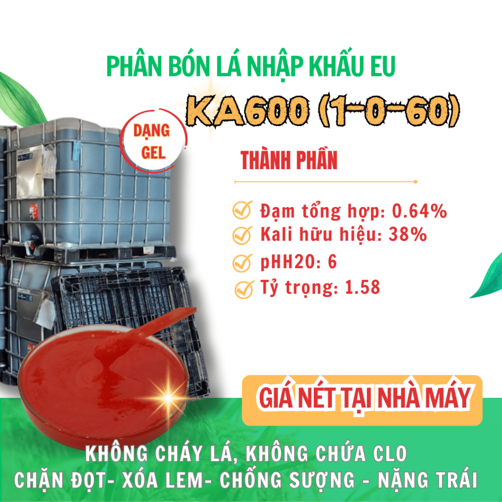 KA600 (1-0-60) KA600 (1-0-60)