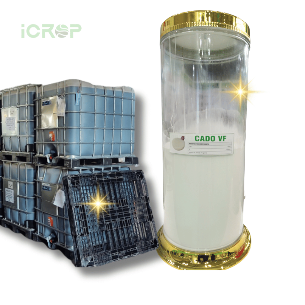 CADO VF Đã Có Đầy Đủ Giấy Tờ Lưu Hành Hợp Quy Tại Việt Nam!