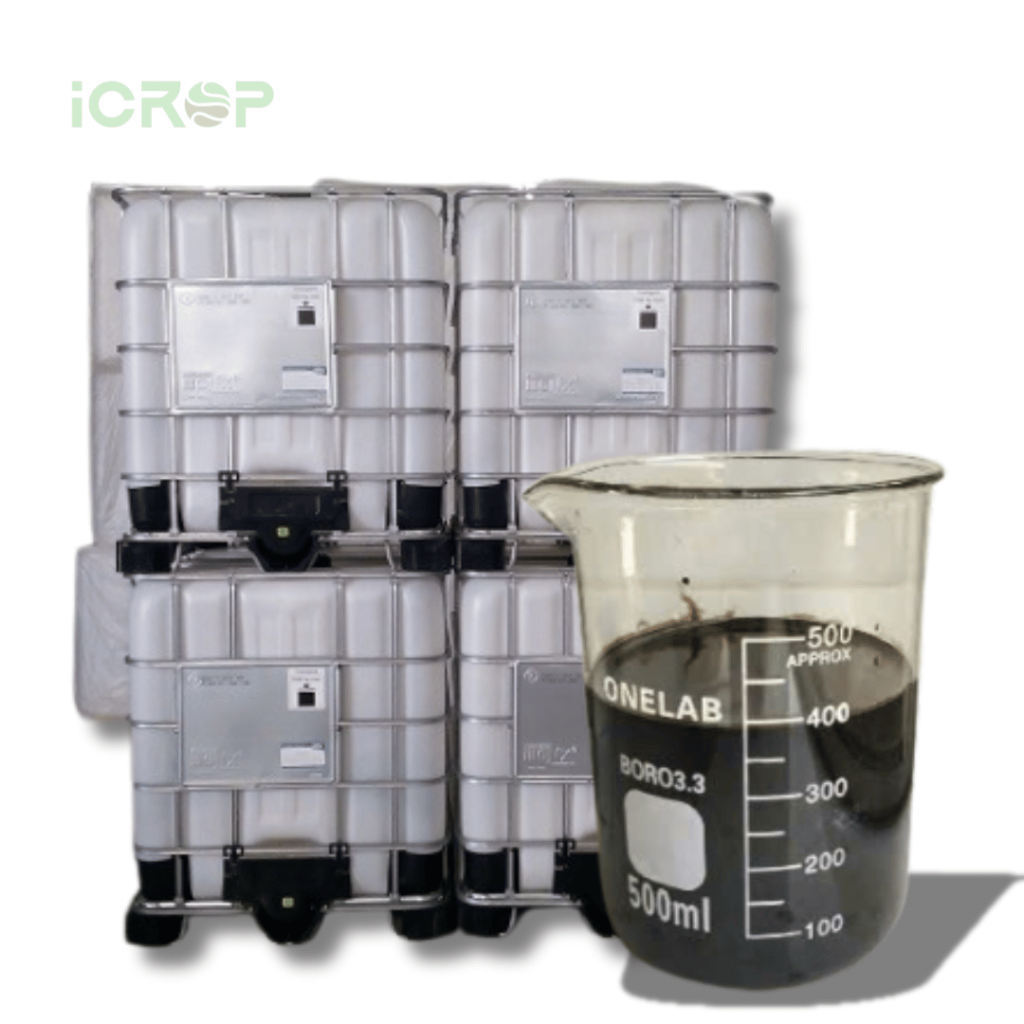 Ngoại Quang Amino USA Mỹ