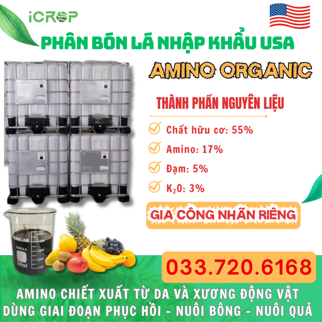 AVAN ORGANIC CENTER O – AMINO USA