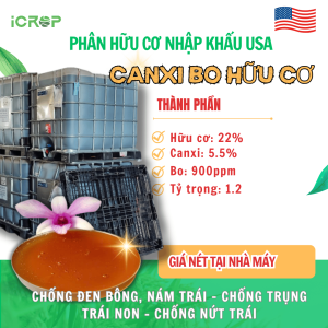 Canxi Bo Hữu Cơ USA