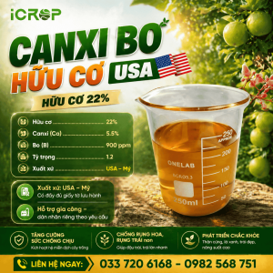 Canxi Bo Hữu Cơ USA