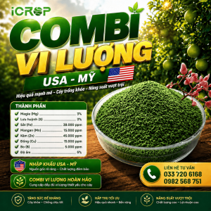 Combi Vi Lượng USA - Nhập khẩu Mỹ