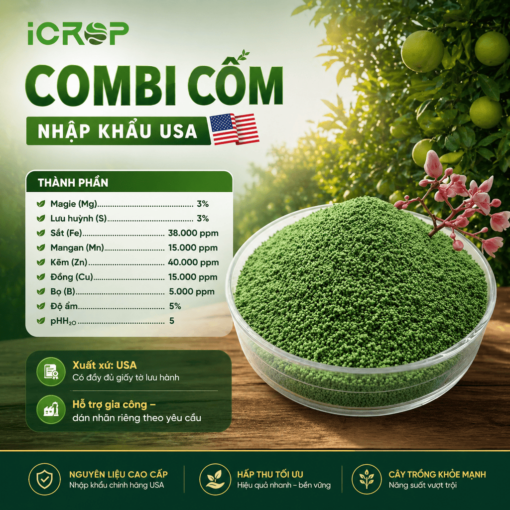 Combi vi lượng nhập khẩu USA 