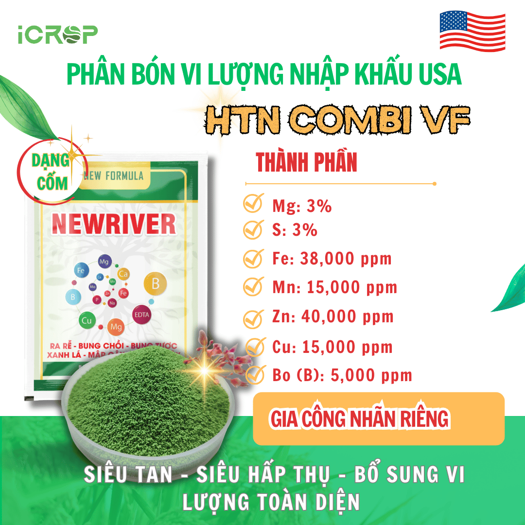 Combi Vi Lượng USA - Nhập khẩu Mỹ