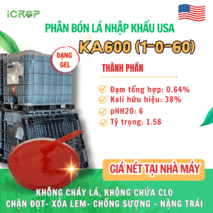 KA600(1-0-60) - Nhập USA ( Mỹ)