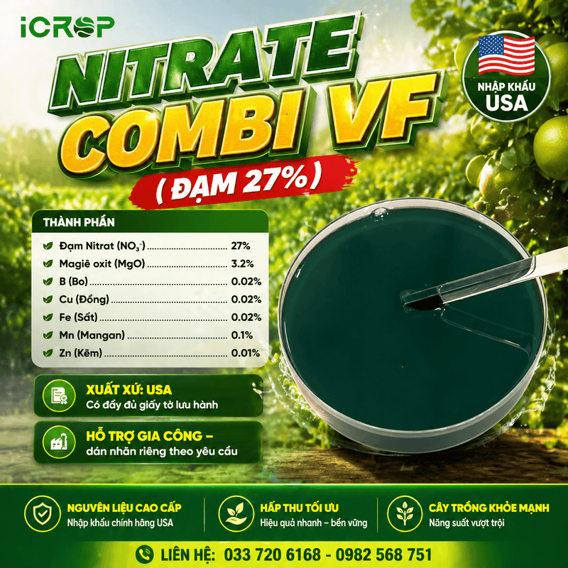 Đạm Vi Lượng (NITRATE COMBI VF 36-0-0-4 MgO) - USA