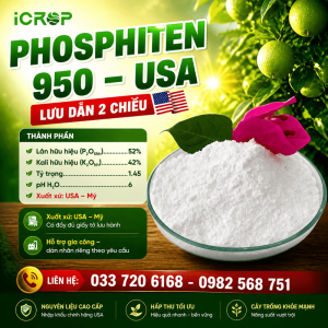 Phosphiten 950 (0-52-42) - USA