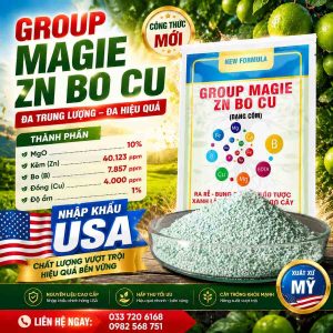 Group Magie Zn Bo Cu (USA)
