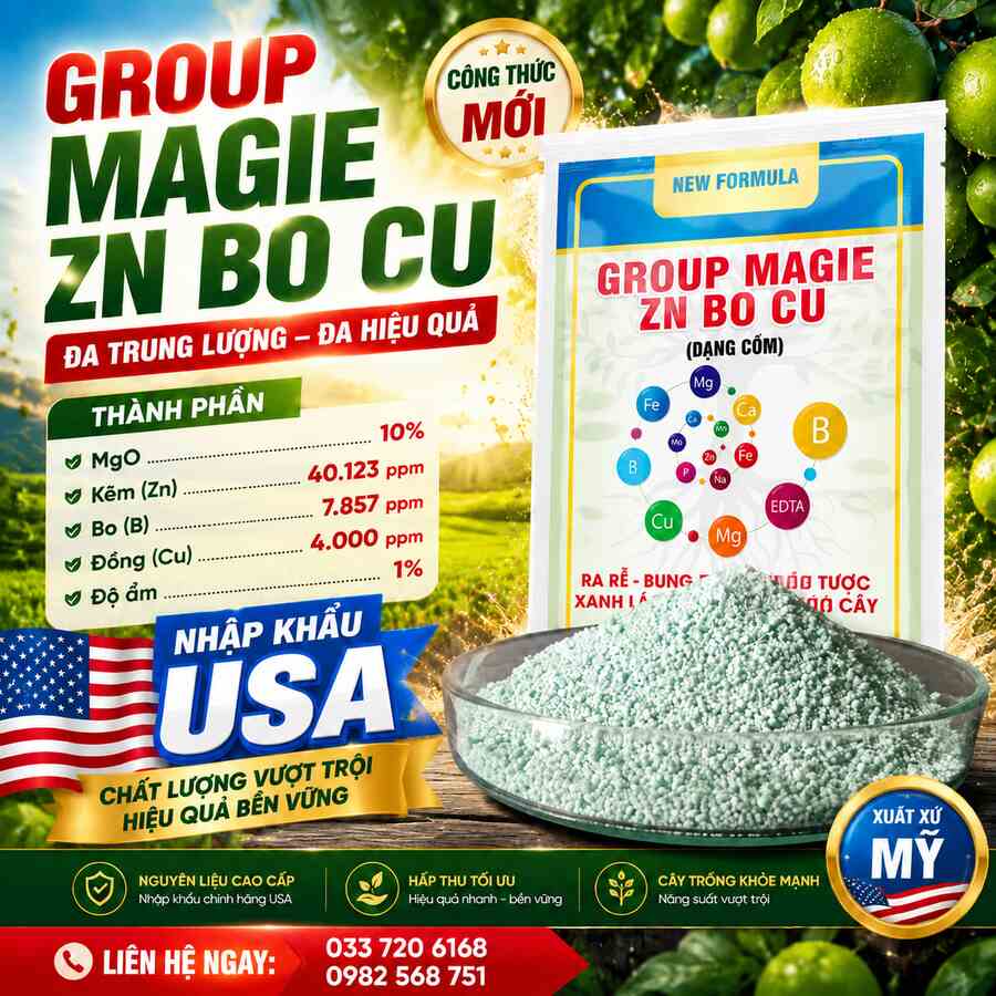 Group Magie Zn Bo Cu (USA)