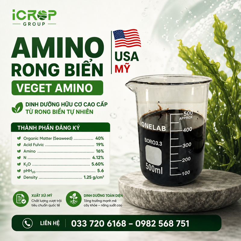 Amino Rong Biển VEGET AMINO - Nhập khẩu USA Amino Rong Biển VEGET AMINO - Nhập khẩu USA