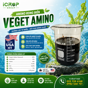Amino Rong Biển VEGET AMINO - USA
