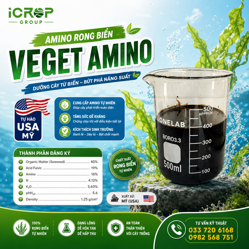 Amino Rong Biển VEGET AMINO - USA