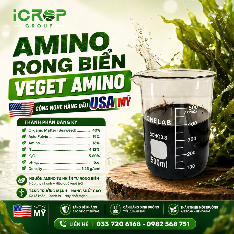 Amino Rong Biển VEGET AMINO - Nhập khẩu USA Amino Rong Biển VEGET AMINO - Nhập khẩu USA