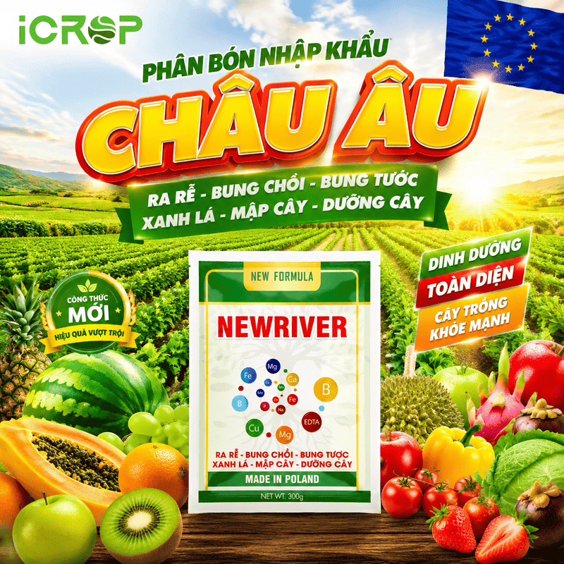 Phân bón nhập khẩu Châu Âu