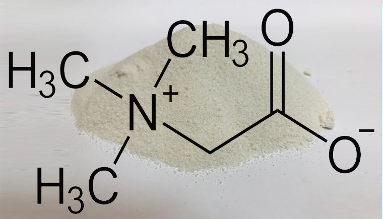 Glycine Betaine Là Gì Và Bản Chất Hóa Học