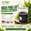 Kích Phát Tố Chuẩn Mỹ