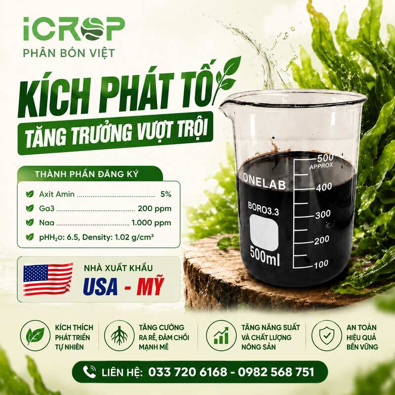 Kích Phát Tố Chuẩn Mỹ