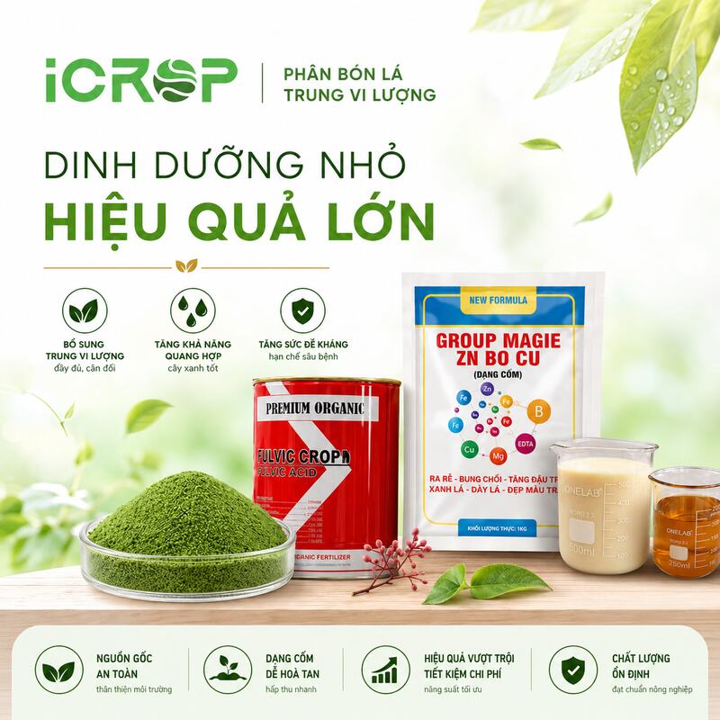 Danh mục phân bón lá trung vi lượng Danh mục phân bón lá trung vi lượng