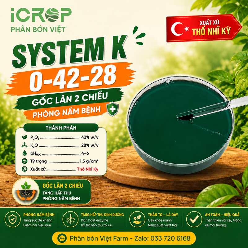 Nguyên Liệu System K 0-42-28: Lân 2 Chiều Thổ Nhĩ Kỳ, Giải Pháp Gia Công Nhãn Riêng Giá NÉT Từ iCrop Group