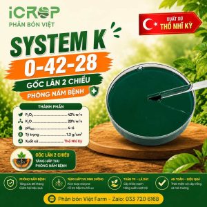 System K 0-42-28 ( Lân 2 chiều)